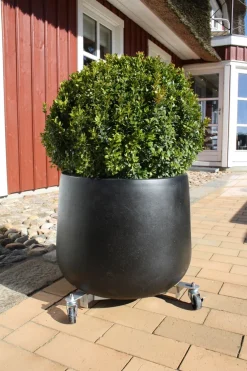 Discount Garden Rullevogn til parasollfot og krukker - ®