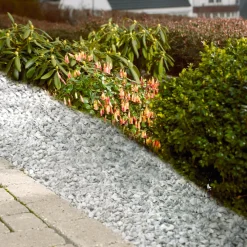 Safestone by ZURFACE Safestone dekorstein 11/16 mm grå Stenungsund