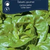 Best Weibulls Salat, gourmet 'Little Gem'