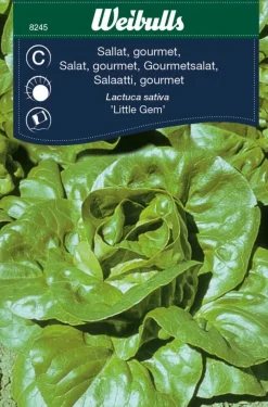 Best Weibulls Salat, gourmet 'Little Gem'