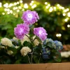 New Garden Solcelleblomst Hortensia – ®