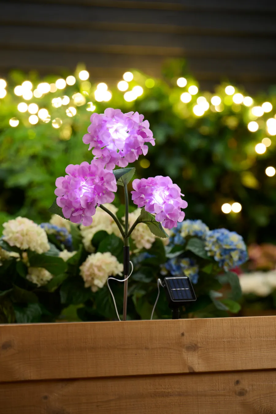 New Garden Solcelleblomst Hortensia – ®