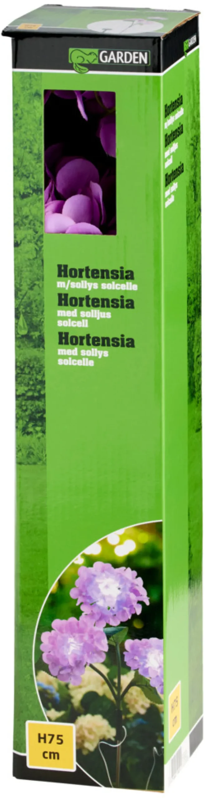 New Garden Solcelleblomst Hortensia – ®