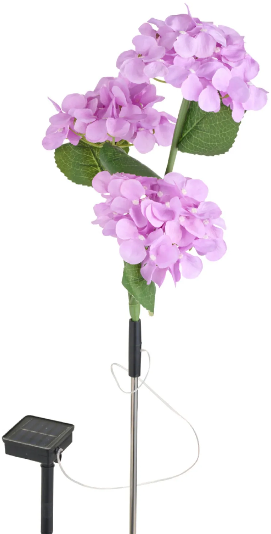 New Garden Solcelleblomst Hortensia – ®