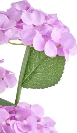 New Garden Solcelleblomst Hortensia – ®