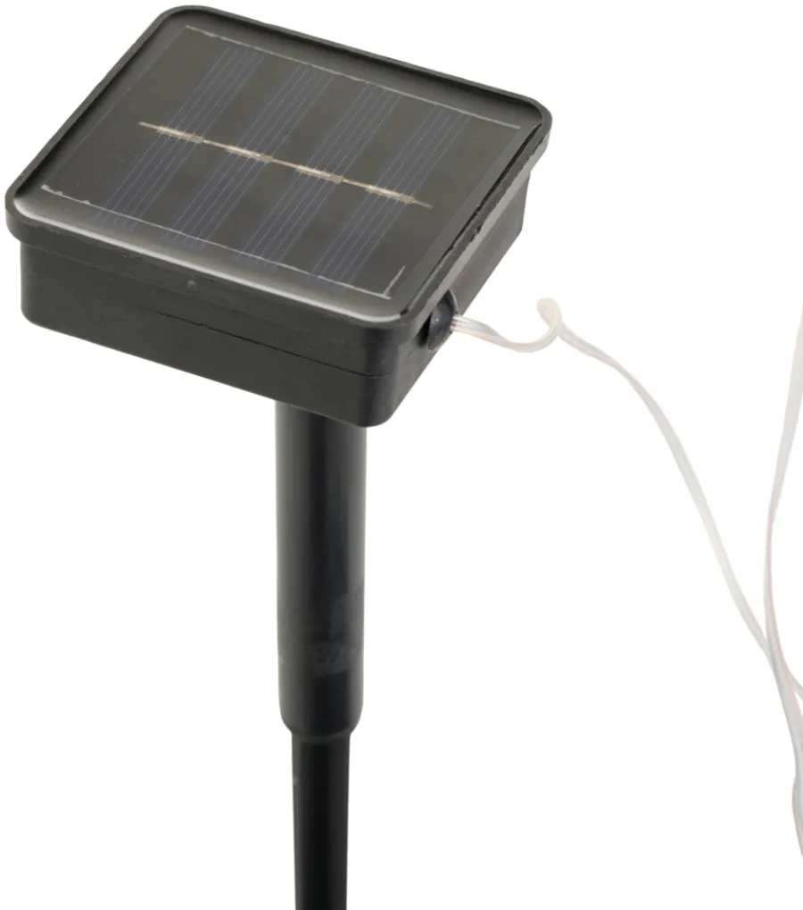 Clearance Garden Solcelleblomst Solsikke – ®