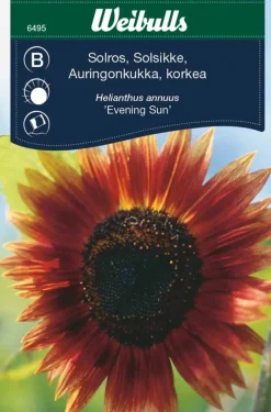 Discount Weibulls Solsikke "Evening Sun" Rødbrune nyanser