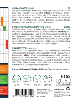New Weibulls Sommerasters - "Pompon Mix" Rosa. hvit. rød og lilla
