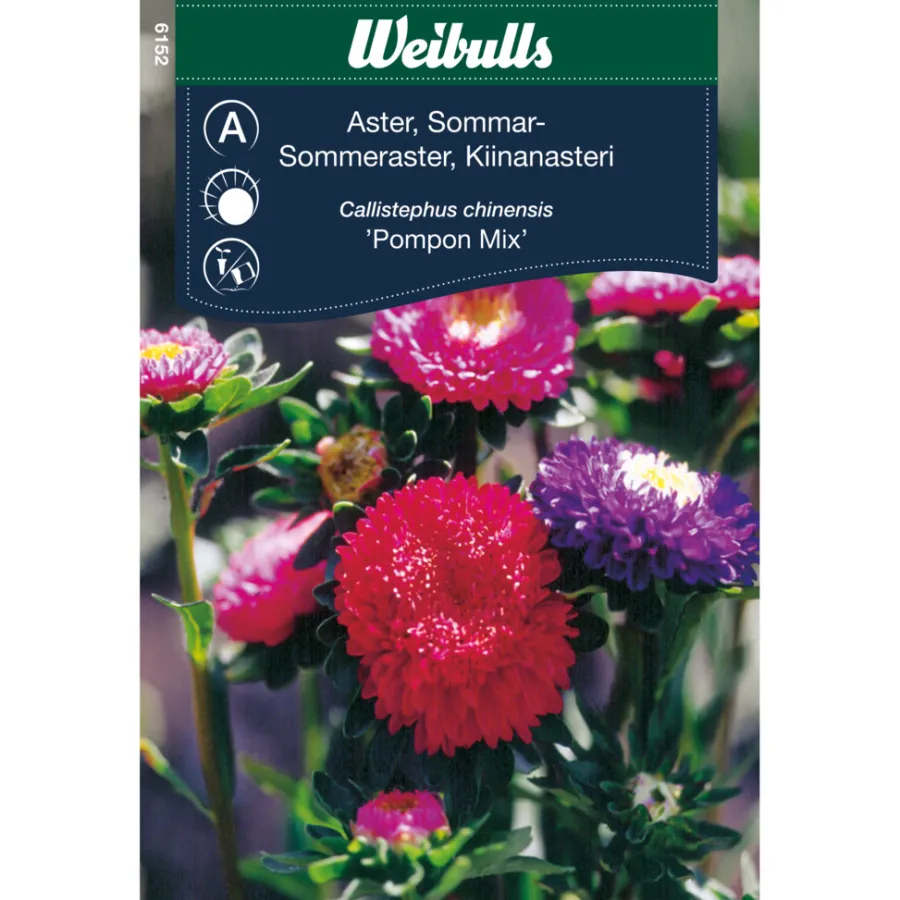New Weibulls Sommerasters - "Pompon Mix" Rosa. hvit. rød og lilla