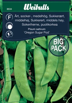 Outlet Weibulls Sukkerert høy 'Oregon Sugar Pod'