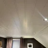Snapwall Takpanel 10 x 154 x 2400 mm skygge bomull