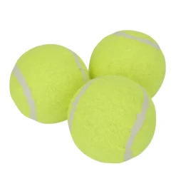 Petzone Tennisball mini til hund 3-pk. -