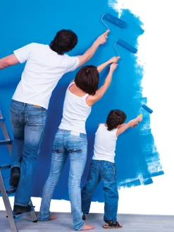 Clearance Forestia Walls2paint 12 x 620 x 2390 mm