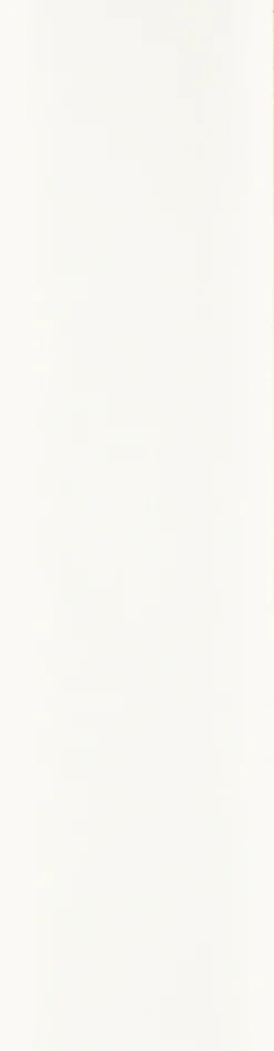 Clearance Forestia Walls2paint 12 x 620 x 2390 mm