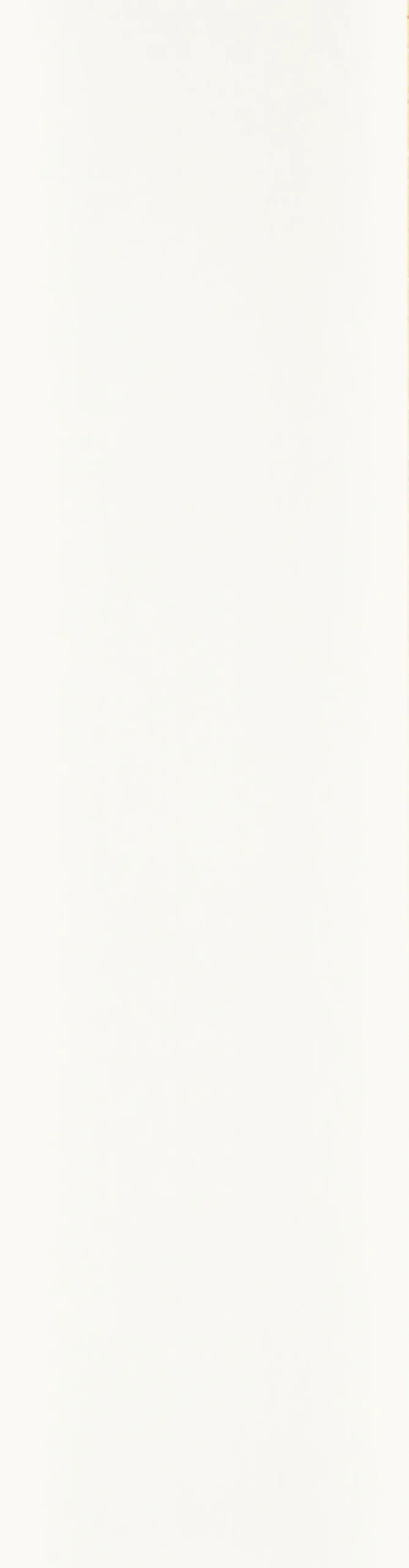 Clearance Forestia Walls2paint 12 x 620 x 2390 mm